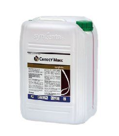 Селест Макс 20л Syngenta фунгіцидно-інсектицидний протруйник, для пшениці ячменю 81 фото