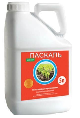 Протруювач Паскаль 5л для пшениці, Фунгіцидно-інсектицидний для ячменю 207 фото