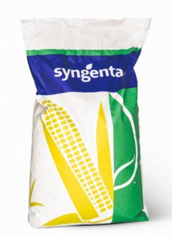 Кукуруза СИ Импульс ФАО 280 Syngenta 2023г, семена кукурузы Сингента 3916 фото