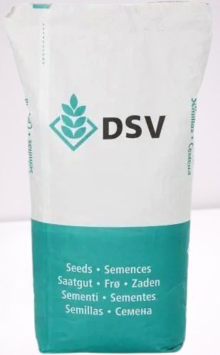 Озимий ріпак Фінікс&nbsp;КЛ DSV, насіння озимого ріпаку під євро лайтинг ДСВ 4442 фото