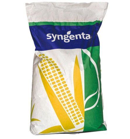 Насіння кукурудзи НК КОБАЛЬТ Syngenta ФАО&nbsp;320, кукурудза Сингента 3668 фото