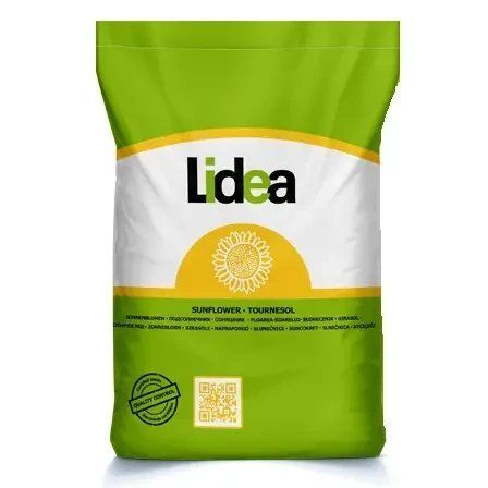 Насіння соняшника ЄС Бостон СУ Lidea (Франція), соняшник стійкий до 7 рас вовчка 3618 фото