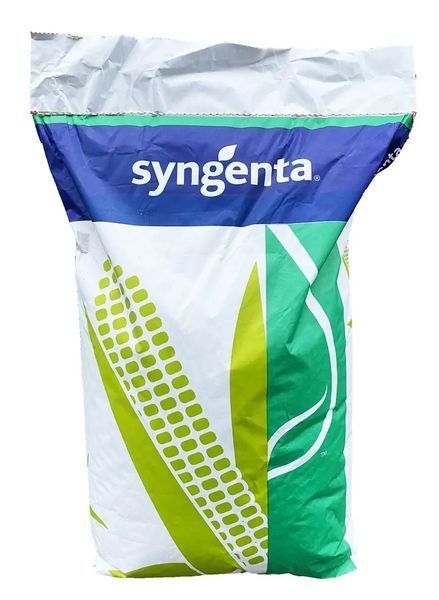 Семена кукурузы СИ ОРФЕУС Syngenta ФАО&nbsp;360, кукуруза Сингента 3671 фото