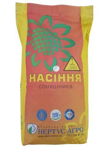 Насіння соняшника Нертус НСХ-978 стійкий до євролайтингу Насіння соняшника НС Х 978 стійкий до Евролайтінгу 9 фото