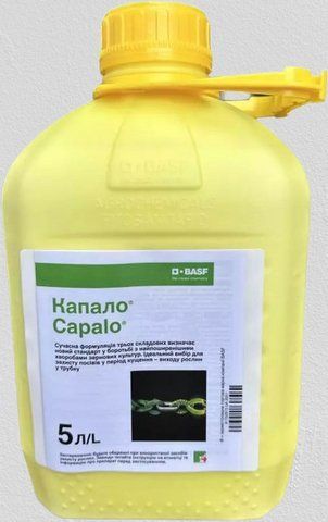 Фунгіцид Капало BASF 5л, фунгіцид для пшениці, для ячменю від борошнистої роси, від іржі, септоріоза 4135 фото
