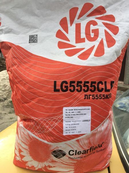 ЛГ 5555 Limagrain Семена подсолнечника Лимагрейн 5555 устойчив 7рас под Евро Лайтинг 50 фото