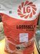 ЛГ 5555 Limagrain Семена подсолнечника Лимагрейн 5555 устойчив 7рас под Евро Лайтинг 50 фото 2