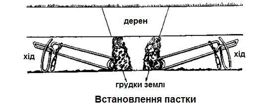 Дротова ловушка полівок та сліпаків TK002, 2 шт 3331 138 фото