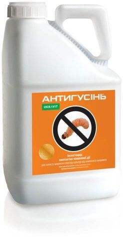 Інсектицид Антигусінь 1 л, для сої, гороху, пшениці, картоплі, цибулі, капусти, ріпаку 543 фото