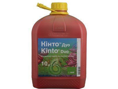 Протруйник Кінто Дуо BASF &mdash; 1 л (на розлив)  фунгіцидний для насіння пшениці, ячменю, тритикале від хвороб 04603 фото