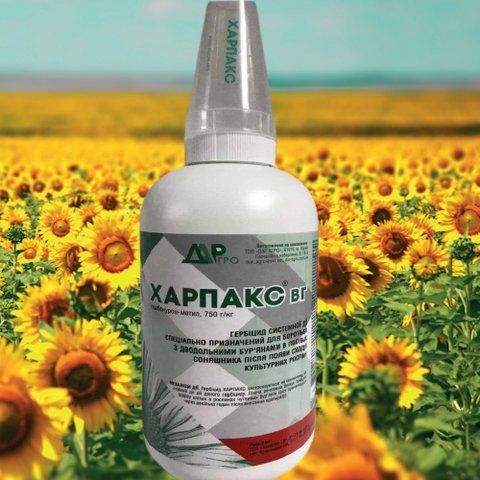 Гербицид Харпакс 0,5 кг (Экспресс, Гранстар) для подсолнечника под гранстар 3237 фото