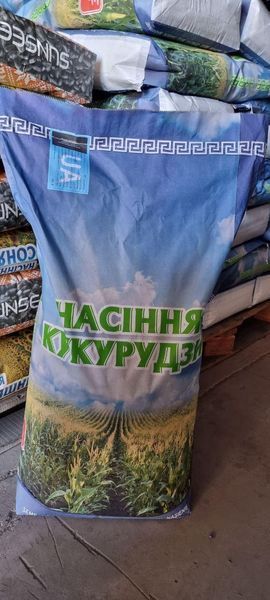 Кукурудза Яровець 243МВ ФАО 240 Sunseeds , насіння кукурудзи доходять для силосу і на зерно 3124 фото Кукурудза Яровець 243МВ ФАО 240 Sunseeds , насіння кукурудзи доходять для силосу і на зерно 3124 фото