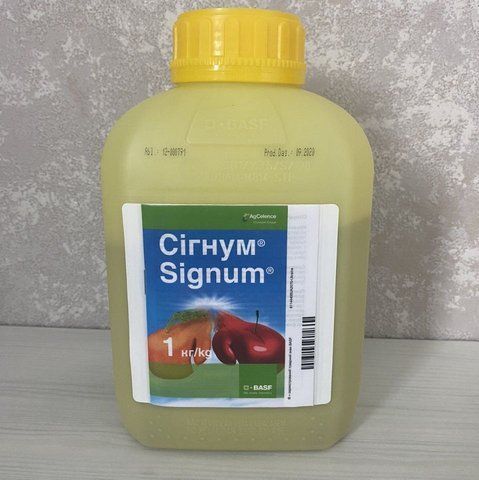 Фунгіцид Сігнум 1кг BASF, для персика, полуниці, цибулі, томатів, картоплі, , 3643 фото