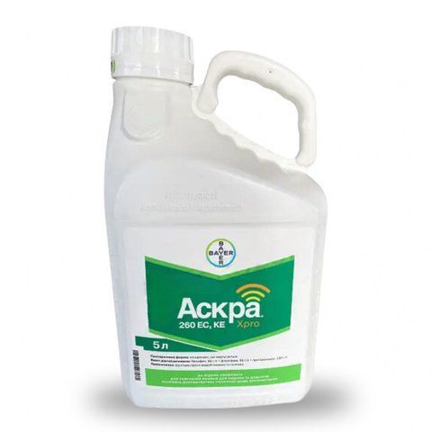 Фунгицид Аскра Xpro 5л BAYER трёхкомпонентный фунгицид для пшеницы и ячменя 3307 фото