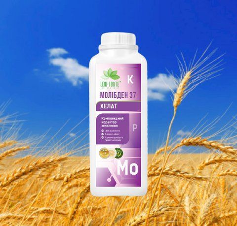 Микроудобрение Молибден 1л, Комплексное хелатное микроудобрение для сада, овощей с дефицитом молибдена 3180 фото