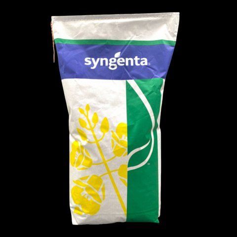 Насіння Ріпаку СІ Анабелла Syngenta, середньостиглий гібрид ріпаку, насіння озимого ріпаку 4340 фото