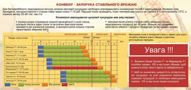 Технологія посіву, дозрівання та збору врожаю кукурудзи ТМ МНАГОР