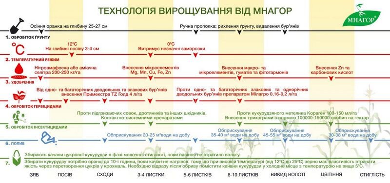 Технологія вирощування кукурудзи ТМ Мнагор